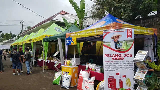 Pupuk Kaltim mendukung peran Forum Komunikasi Pusat Pelatihan Pertanian dan Pedesaan Swadaya (FK P4S) di Kabupaten Lumajang, Jawa Timur. (Photo dok. PT Pupuk Kalimantan Timur)