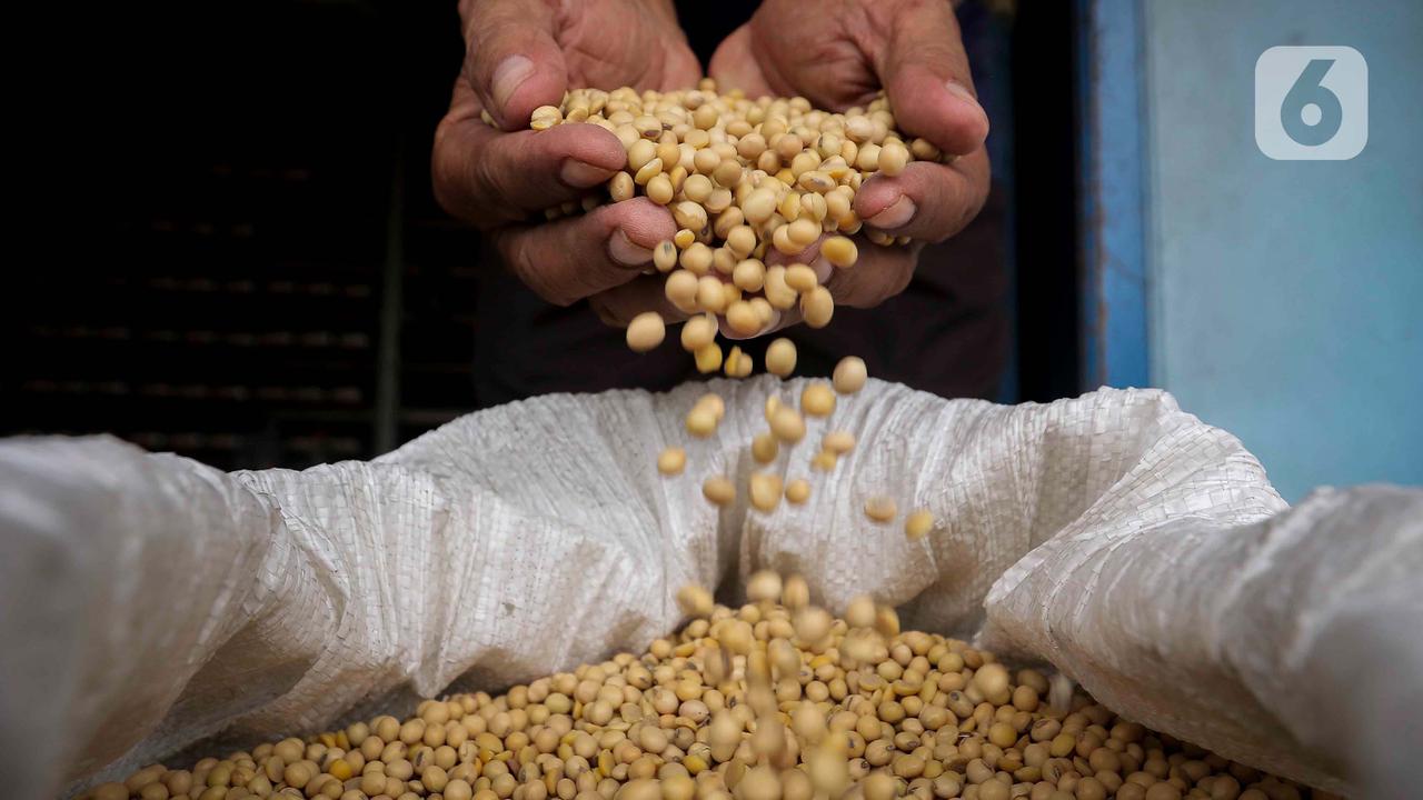 Pelemahan rupiah berdampak pada nilai jual kedelai impor