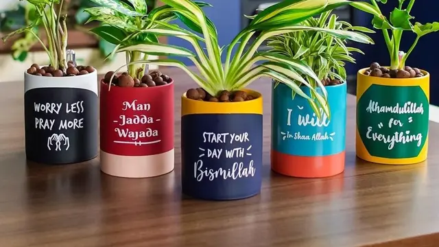 Tanaman Hias Kekinian ala Mini Gardena, Makin Cantik di Pot Unik Berhidrometer
