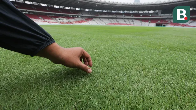 Foto: Mengintip Kondisi Rumput SUGBK Jelang Hadapi Jepang di Kualifikasi Piala Dunia