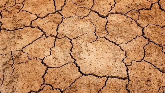 Ilustrasi kekeringan