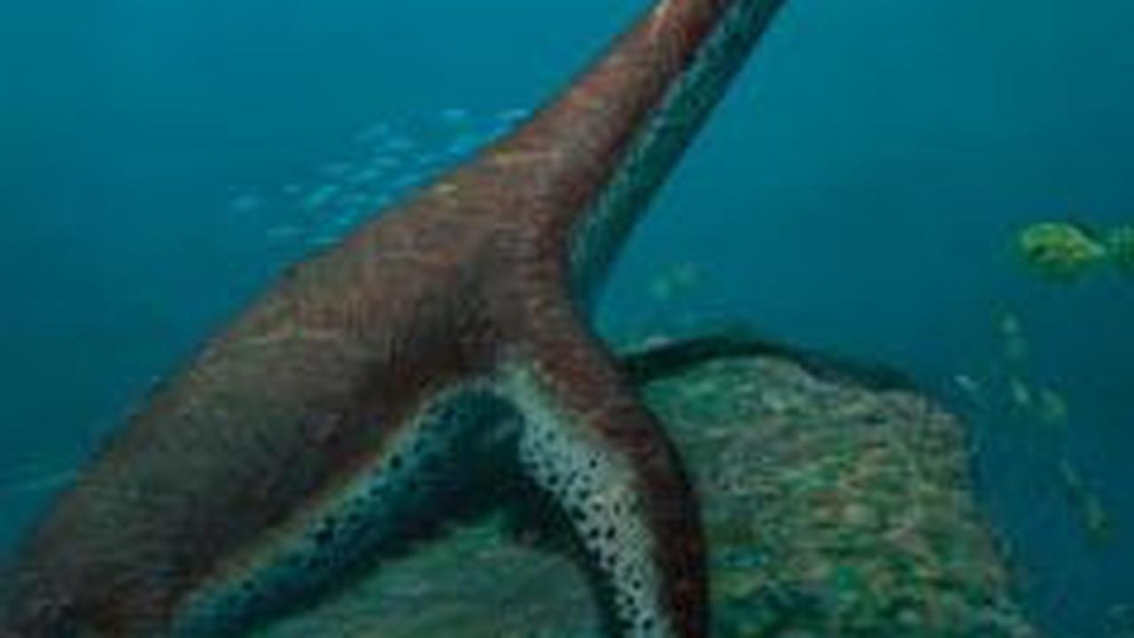 Heboh Penemuan Spesies Baru Plesiosaurus di Jerman, Kini Sedang Digali