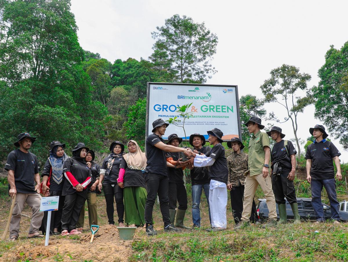 Aksi Nyata Kelompok Tani Mantan Penambang Pulihkan Hutan Melalui BRImenanam Grow & Green