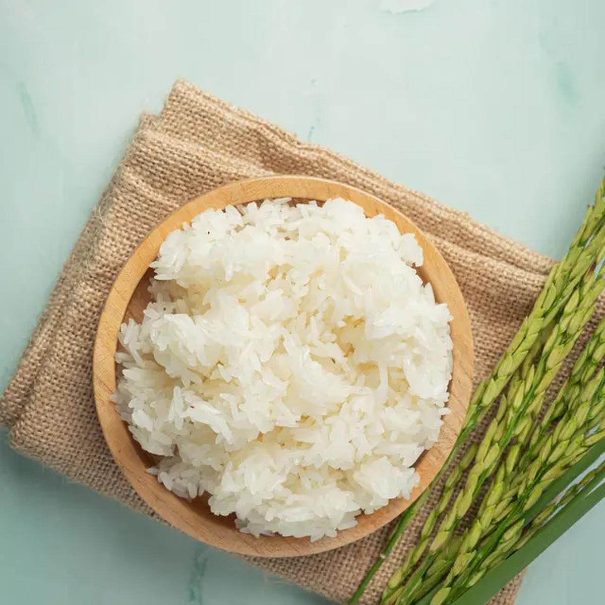 Nasi Panas atau Dingin, Mana yang Lebih Baik untuk Kesehatan?