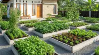 10 Rumah Mini Tapi Punya Kebun Sayur Luas, Hunian Sehat &amp; Hemat di Lahan Terbatas