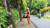 Ketika Sarjana Pilih Jadi Pasukan Oranye di Tengah Sulitnya Mencari Kerja