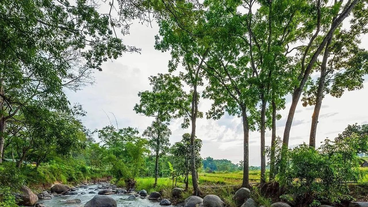 Wana Wisata Grape, Madiun