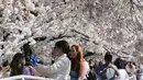 Orang-orang memotret pohon sakura Yoshino yang sedang mekar penuh di sekitar Tidal Basin di Washington, Selasa (30/3/2021).  Festival Bunga Sakura Nasional 2021 merayakan pemberian asli 3.000 pohon sakura dari kota Tokyo kepada masyarakat Washington di 1912. (AP Photo/Susan Walsh)