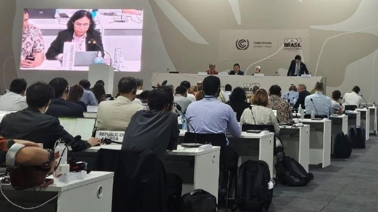 Kementerian Kehutanan Perjuangkan Aturan Adil Pasar Karbon di COP30 Brasil