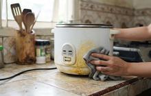 Cara Membersihkan Bagian Bawah Rice Cooker yang Menguning, Ikuti 7 Langkah Ini