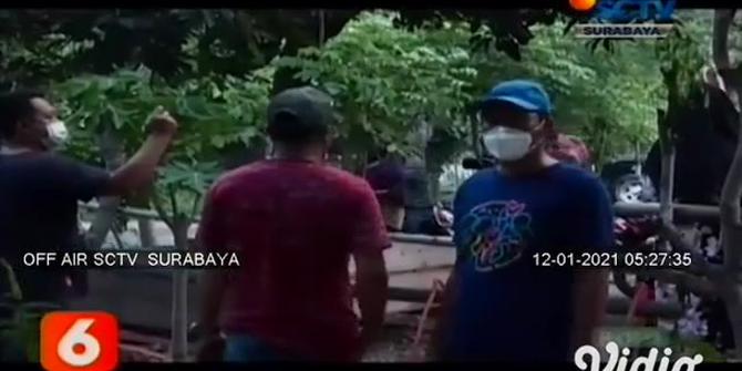 VIDEO: Ular Piton 5 Meter Ditangkap Warga Dusun Paras Putih Banyuwangi