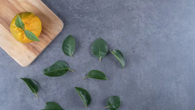Daun Jeruk [Dok/freepik.com/azerbaijan_stockers]