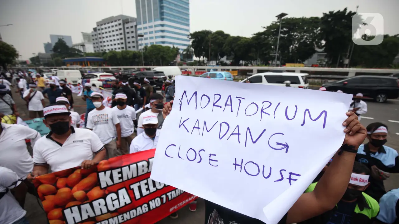 Tuntut Kenaikan Harga Telur, Peternak Ayam Demo di Gedung DPR