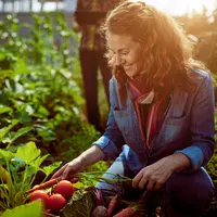 Ilustrasi/copyrightshutterstock/AYA images