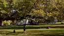 Seorang pria berolahraga di dalam taman kota di Melbourne, Australia (3/6/2021). Pihak berwenang mengumumkan Lockdown di Melbourne diperpanjang tujuh hari lagi ketika negara itu berusaha untuk membasmi sekelompok kasus Covid-19 di Melbourne. (AFP Photo/William West)