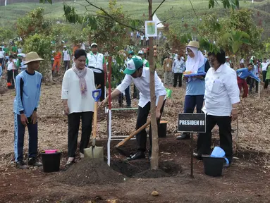 Presiden Jokowi didampingi Ibu Negara Iriana Widodo  menanam pohon pada peringatan Hari Menanam Pohon Indonesia dan Bulan Menanam Pohon Nasional di Tahura Sultan Adam, Kalsel, Kamis (26/11). (Liputan6.com/Johan Tallo)