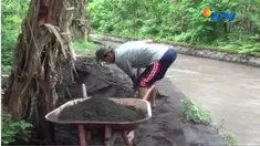 Dari material Gunung Agung yang mengendap di sungaiWarga bisa mengumpulkan pasir sebanyak satu mobil pick up dan dijual Rp 250 ribu.