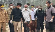Wapres Gibran Lihat Orangutan Terdampak Asap Karhutla