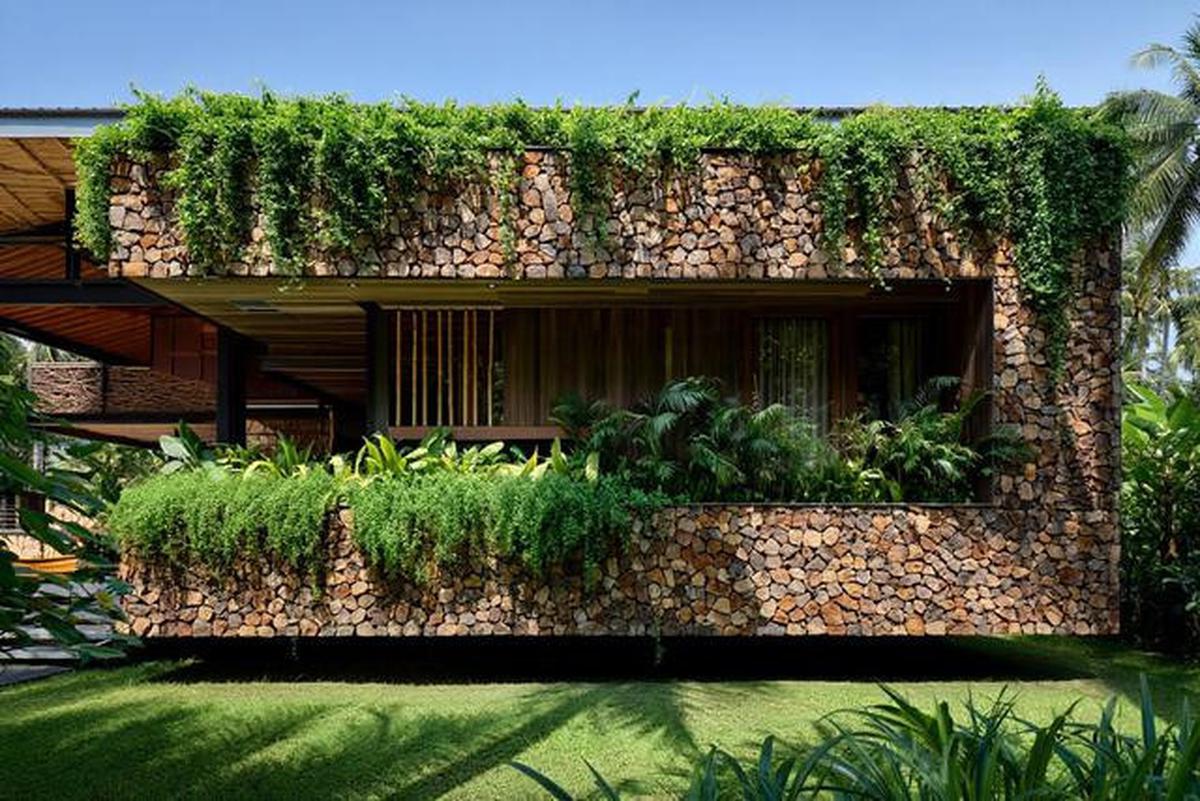 10 Model Tampak Depan Rumah Minimalis Asri dengan Tanaman Rambat, Bikin Hunian Teduh
