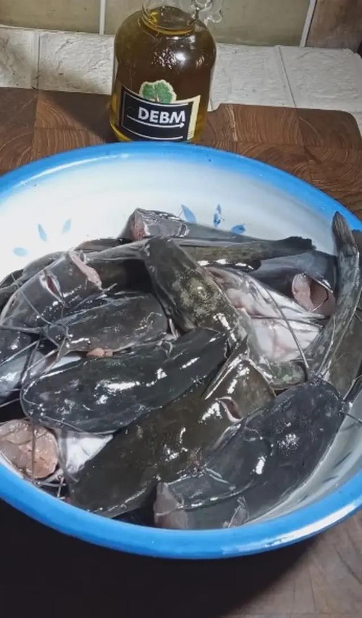 Cara Mudah Membuat Lele Goreng Tanpa Amis dan Lebih Renyah