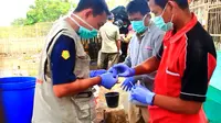 Seorang warga Cirebon diduga tewas akibat terinfeksi flu burung. (Liputan6.com/Panji Prayitno)