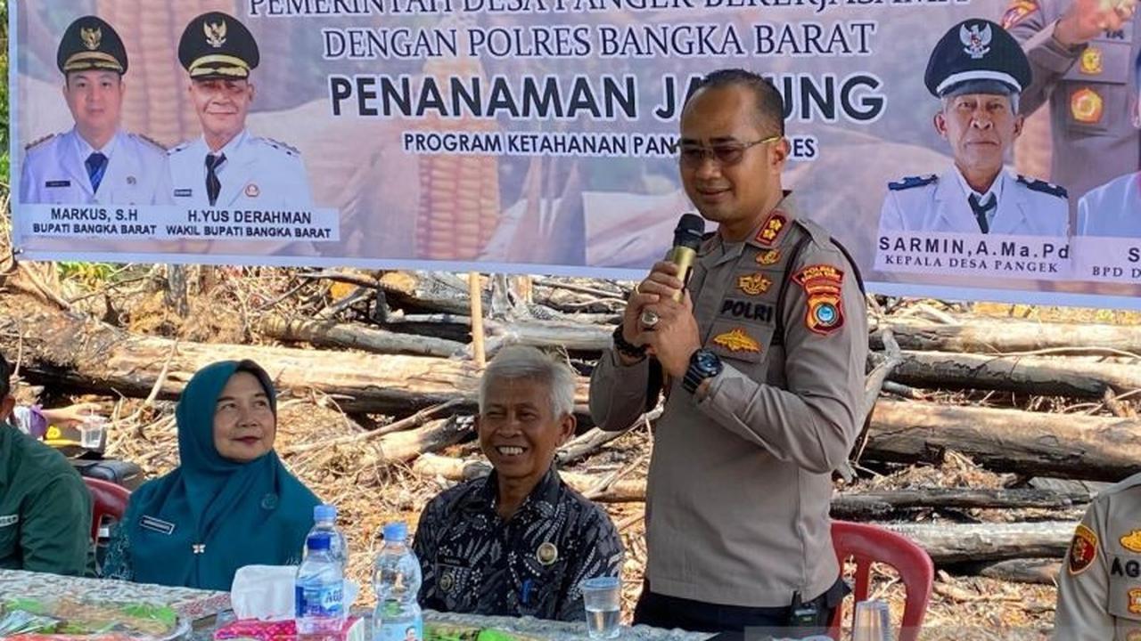 Tahukah Anda? Polres Bangka Barat dan Pemdes Pangek Garap 1,5 Hektar Lahan untuk Ketahanan Pangan Nasional