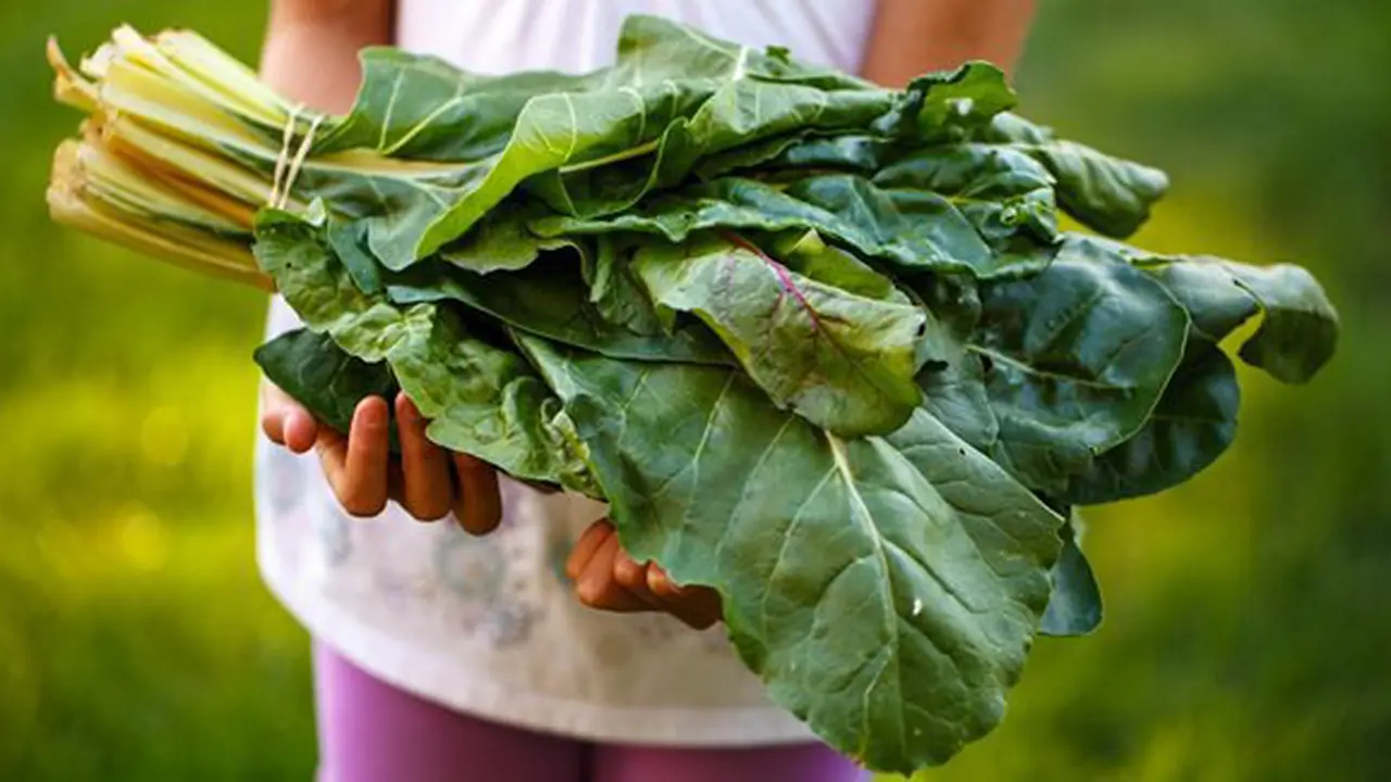 Makan makanan berserat/copyright Unsplash.com