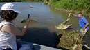 Seorang wanita mengambil gambar seorang petugas yang sedang memberi makan seekor buaya di Sungai Tarcoles, Rio Grande, Kosta Rika, Jumat (13/3/2015). Buaya menjadi daya tarik objek wisata Sungai Tarcoles. (AFP Photo/Ezequiel Becerra) 