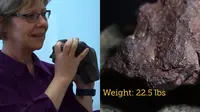 Batu Meteorit Ini Harganya Rp 1.6 Miliar Hanya Jadi Ganjal Pintu (Sumber: Youtube/Central Michigan University)