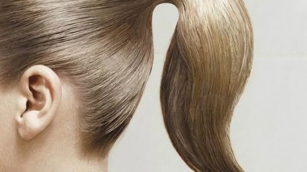 Rambut Panjang