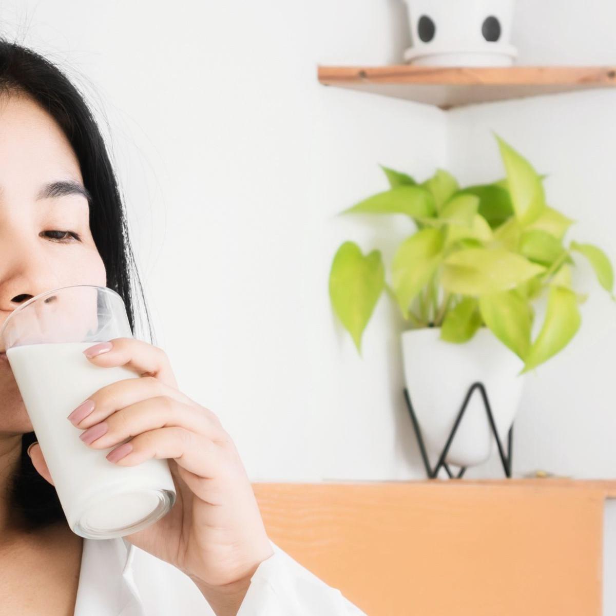 Bahaya Susu Sapi Bagi Penderita Alergi Laktosa, Bisa Muncula
