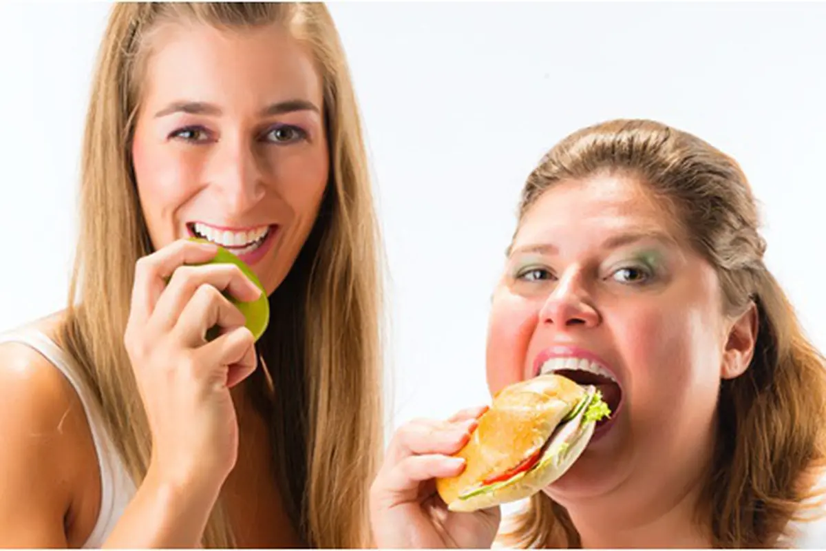 (c) shutterstock