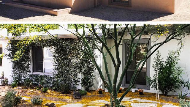 6 Potret Sebelum Vs Sesudah Renovasi Halaman Rumah, Hasilnya Bikin Takjub