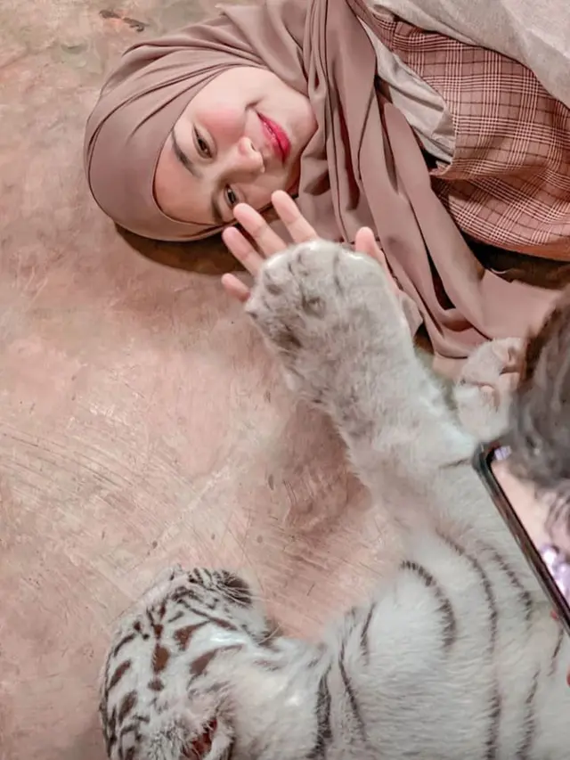 Ria Ricis Digigit Harimau