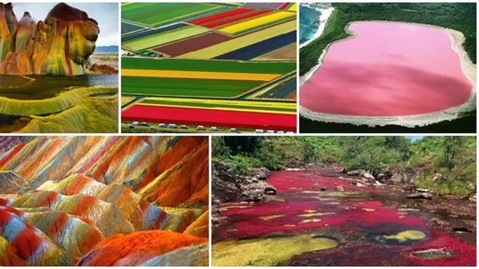 Foto: copyright oddee.com