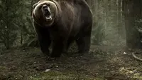 Baru-baru ini, sebuah film tentang serangan Beruang dibuat oleh Hollywood lewat tajuk Grizzly.