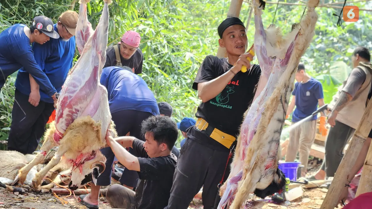 Pemotongan Daging Kurban di Hari Raya Idul Adha 2025 (Foto: Aditya Eka Prawira/Liputan6.com)