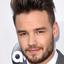 Liam Payne adalah seorang penyanyi berkebangsaan Inggris yang tergabung dalam group One Direction.