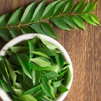 Daun Salam dan Minyak Kelapa dapat menjaga dan merawat keindahan rambut panjang dan lebat Anda