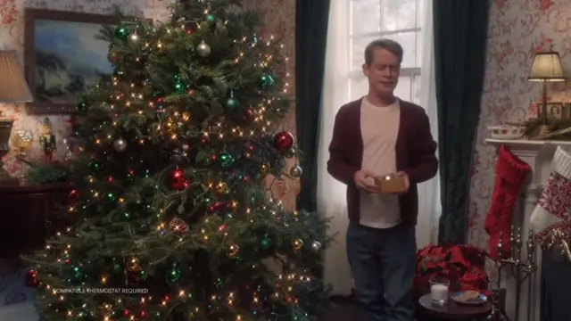 Home Alone Google