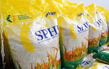 Bapanas Ungkap Biang Kerok Realisasi Beras SPHP Baru Capai 29% dari Target Nasional