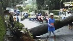 liputan6