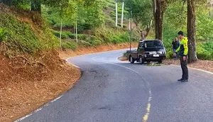 Nyalip di Tikungan, Pemotor Tewas Usai Tabrak Pikap