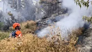Gunung Lawu Kebakaran, Petugas Buat Sekat Api
