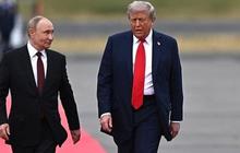 VIDEO: Kata-Kata Tak Terduga Putin Tanggapi Trump AS Gagal Raih Nobel Perdamaian