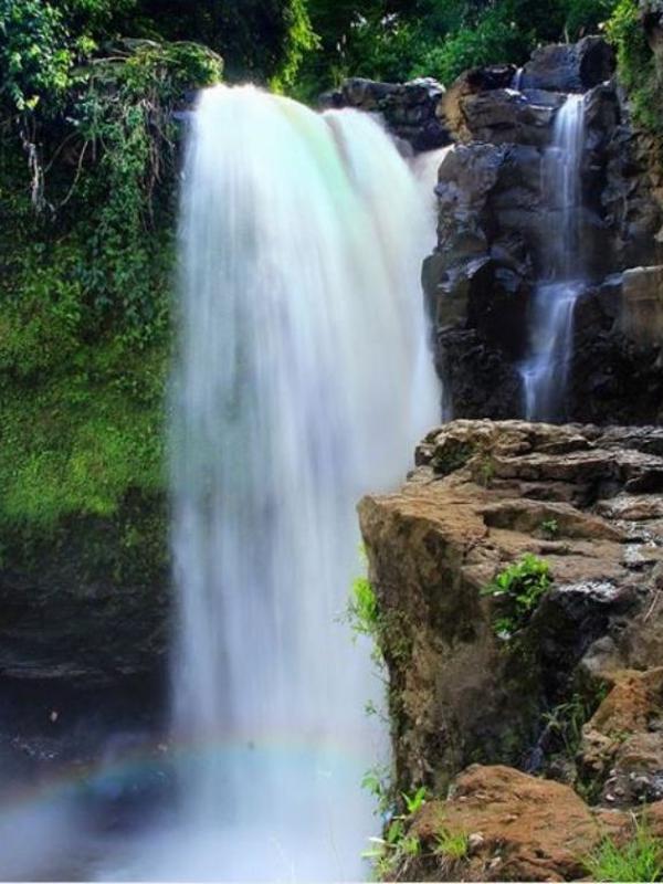 mengenal desa wisata blangsinga, tempat pernikahan putra bos krisna bali
