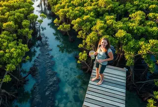 fungsi ekologis hutan mangrove ©Ilustrasi dibuat AI
