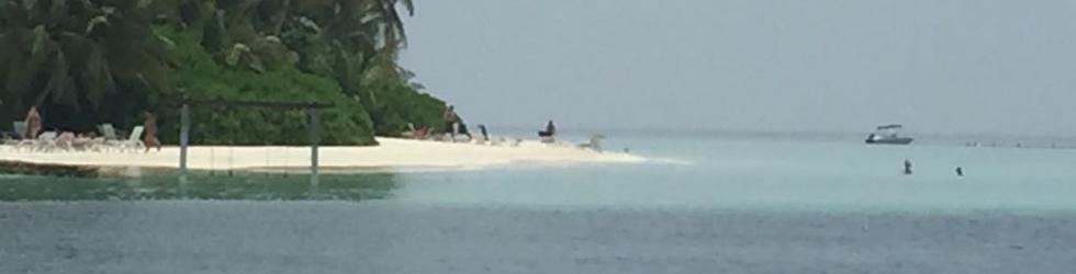 Shinta Novita Magdalena