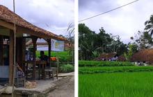 Bikin Pembeli Terlena, Warung Kopi di Kampung Terpencil Tasikmalaya Ini Suguhkan Pemandangan Sawah Hijau dan Bukit Berkabut