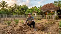 5 Cara Menyuburkan Tanah Kering di Halaman Tanpa Sering Menyiram, Efektif dan Simpel
